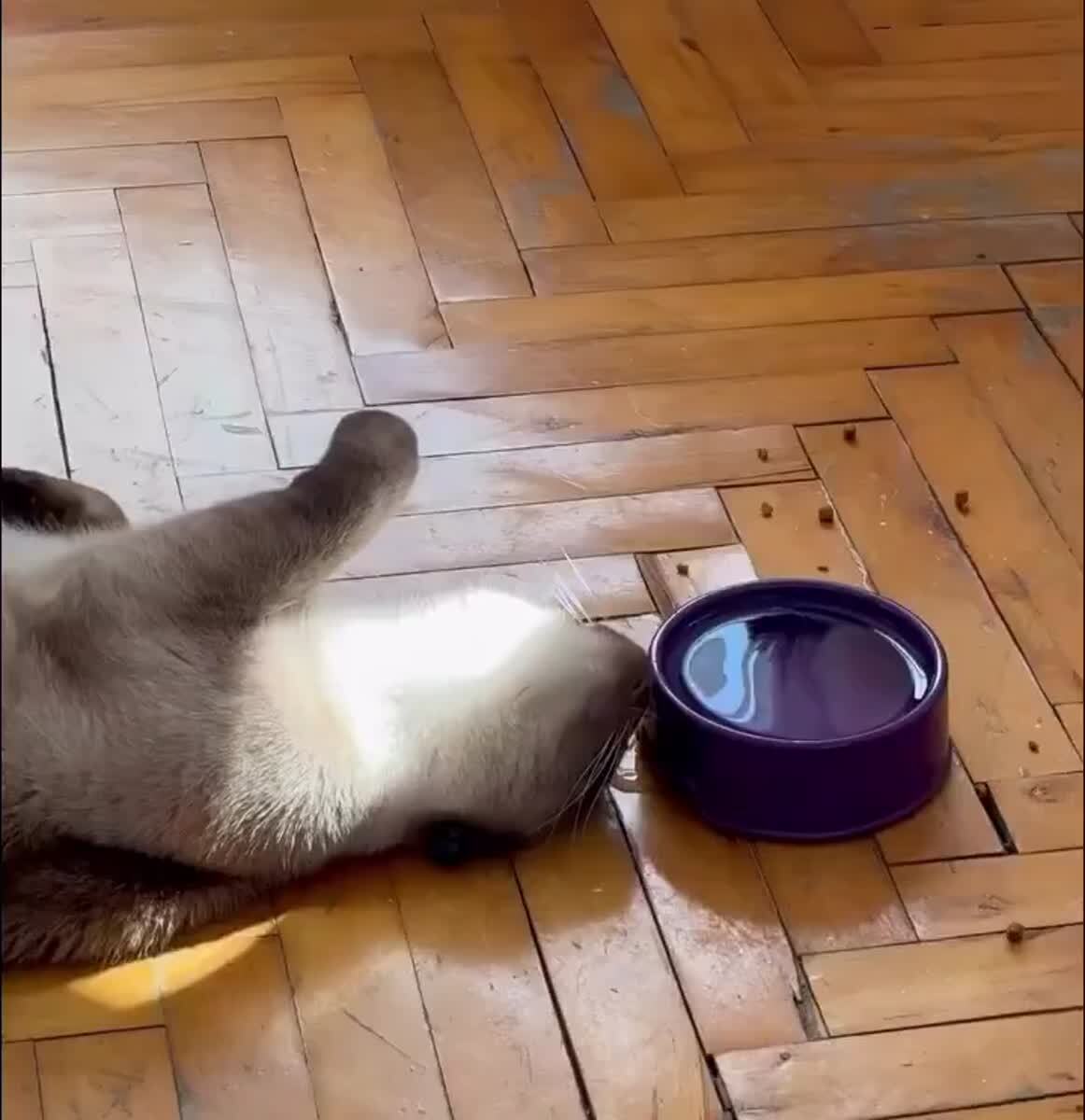 Необычно