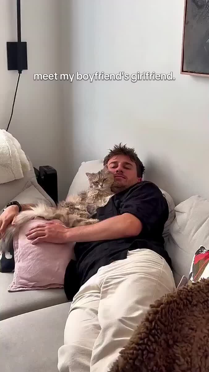 Шанс, что кошка уведёт твоего мужчину низок, но никогда не равен нулю😼♥️ шерстяные проказники