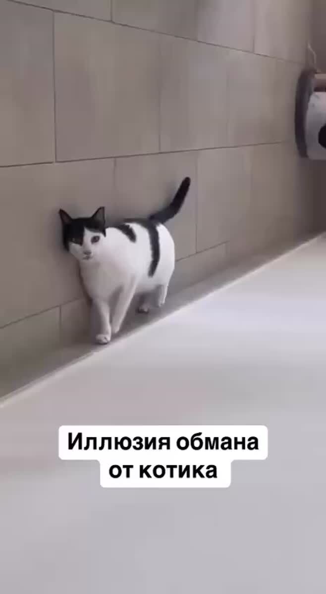 Мем #35623