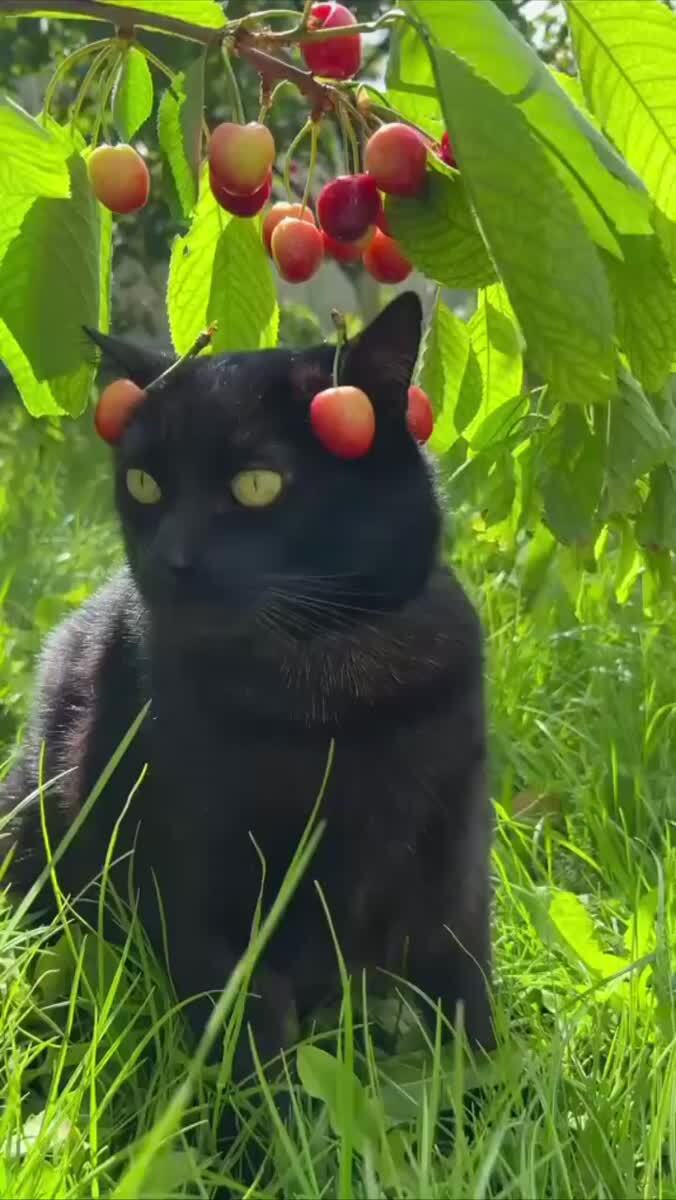 Украшения😍