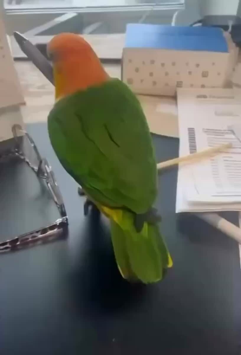 Многозадачность