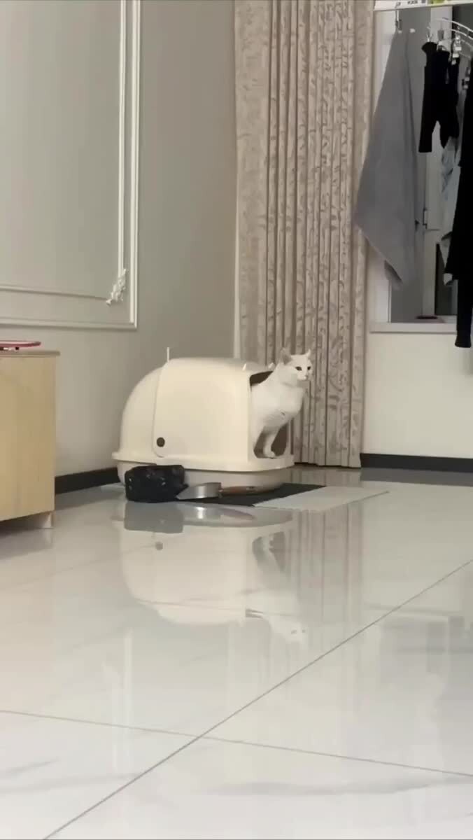 Технолоджи )