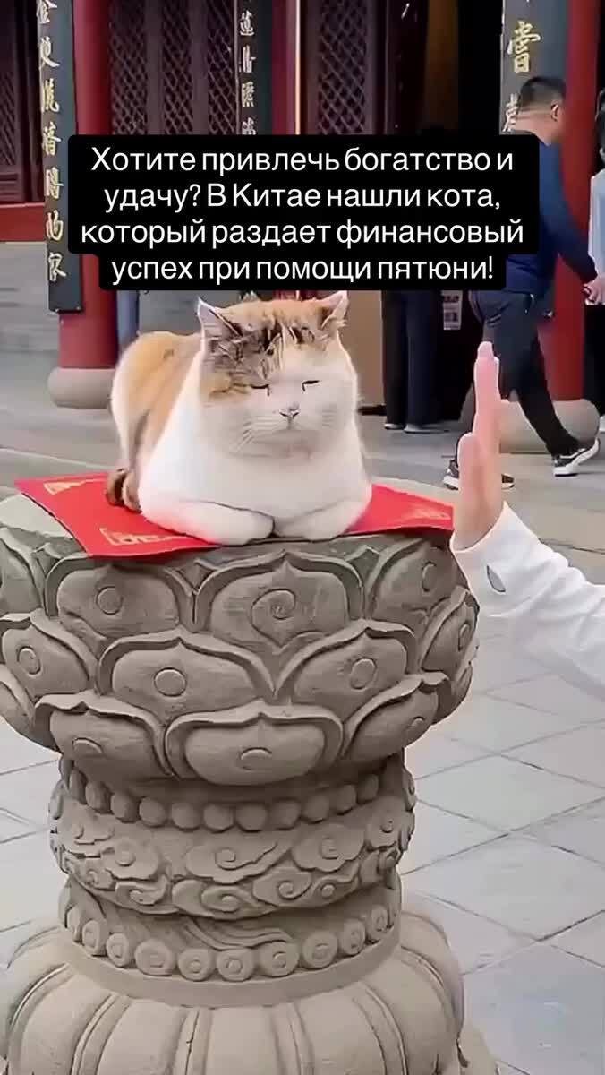 Все в Китай!