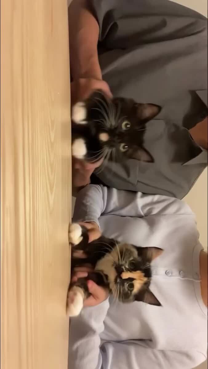 Музыканты!