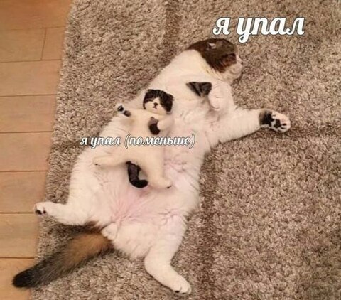 Если у вас вдруг плохо грузятся сайты, особенно зарубежные — вы не одиноки. Просто снова упал Cloudflare