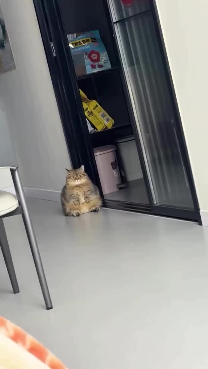 Не загрузился до конца 