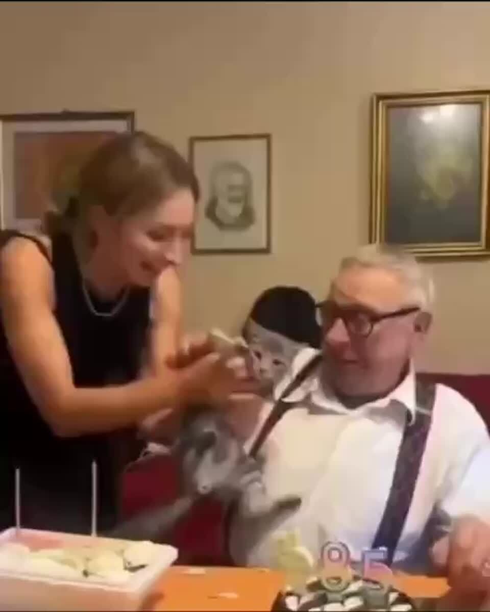 Тот самый дед, который говорил что ему не нужен кот🥰♥️ шерстяные проказники
