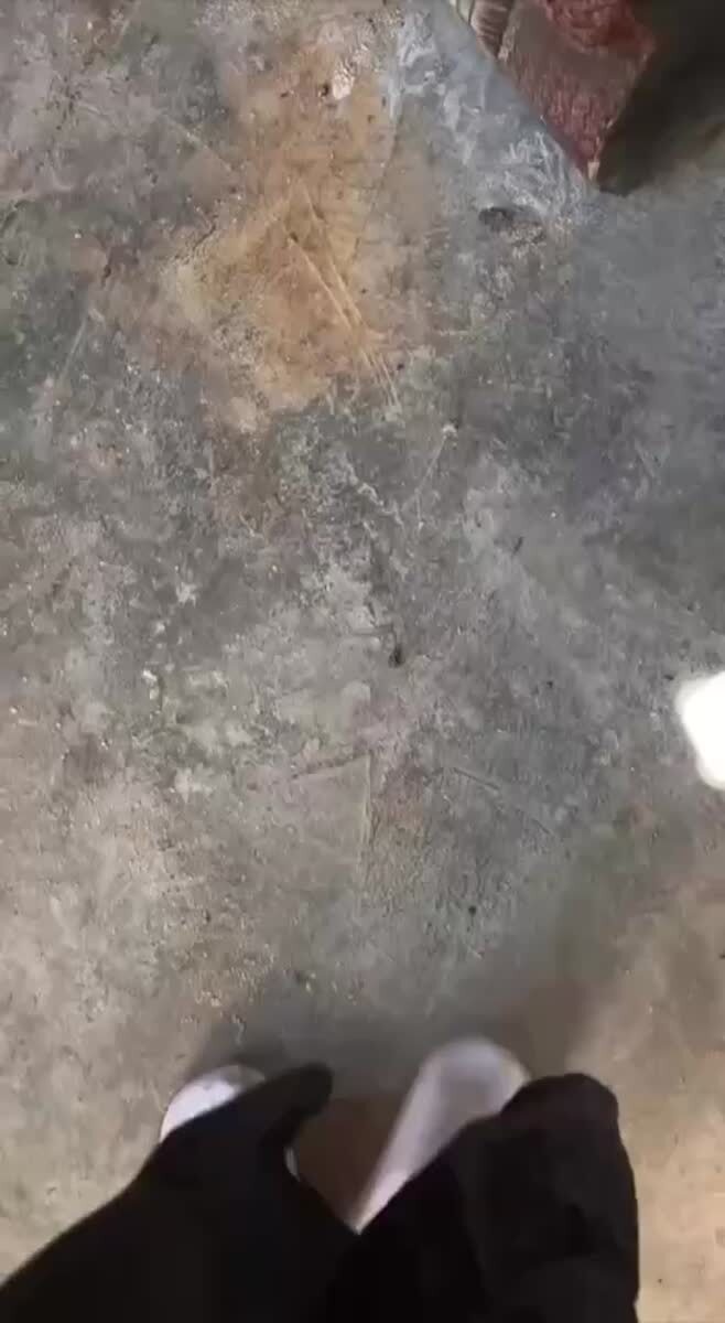 Когда наврала в резюме, но всё равно получила работу😅♥️ шерстяные проказники