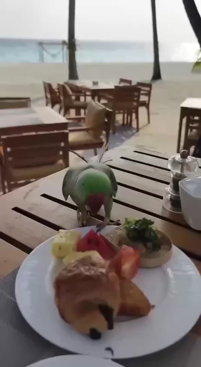 Бесплатный завтрак