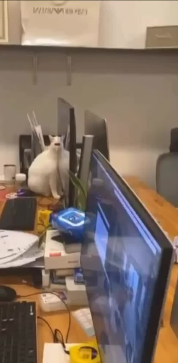 Установлена слежка 😎