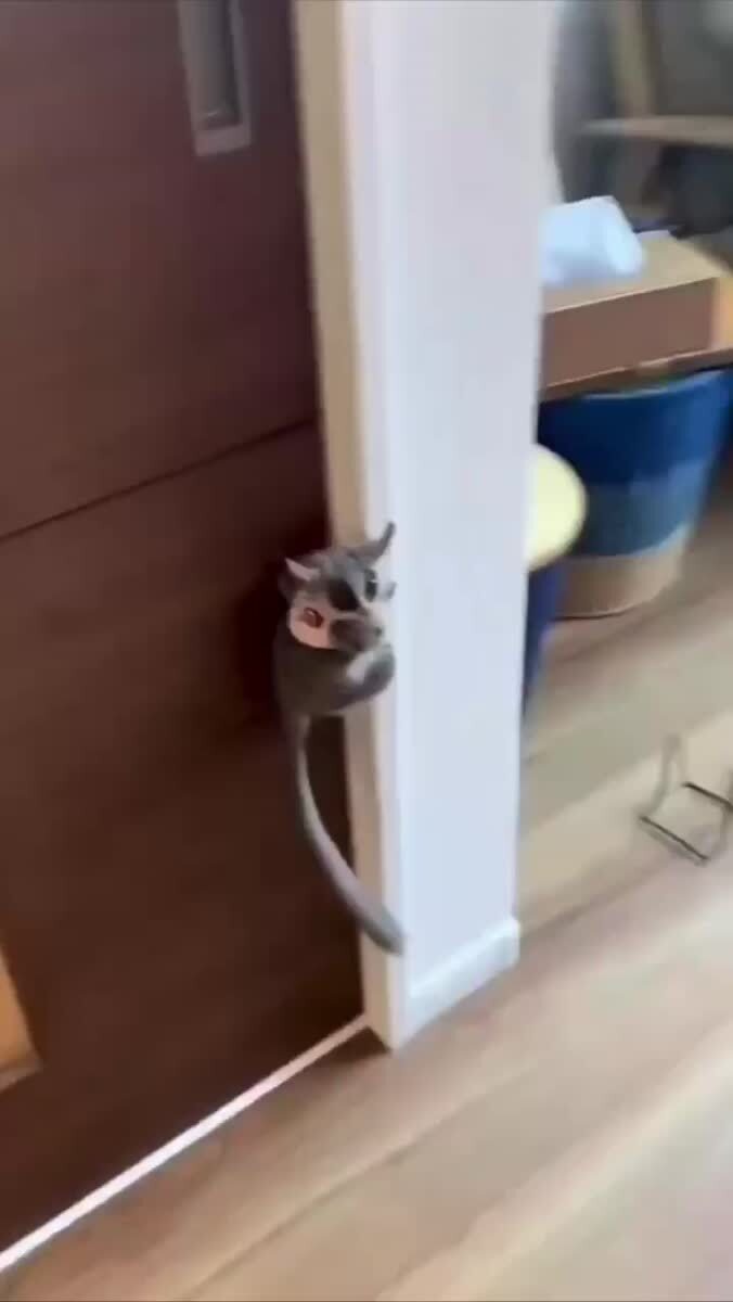 Ничего милее сегодня вы уже не увидите 🥰
