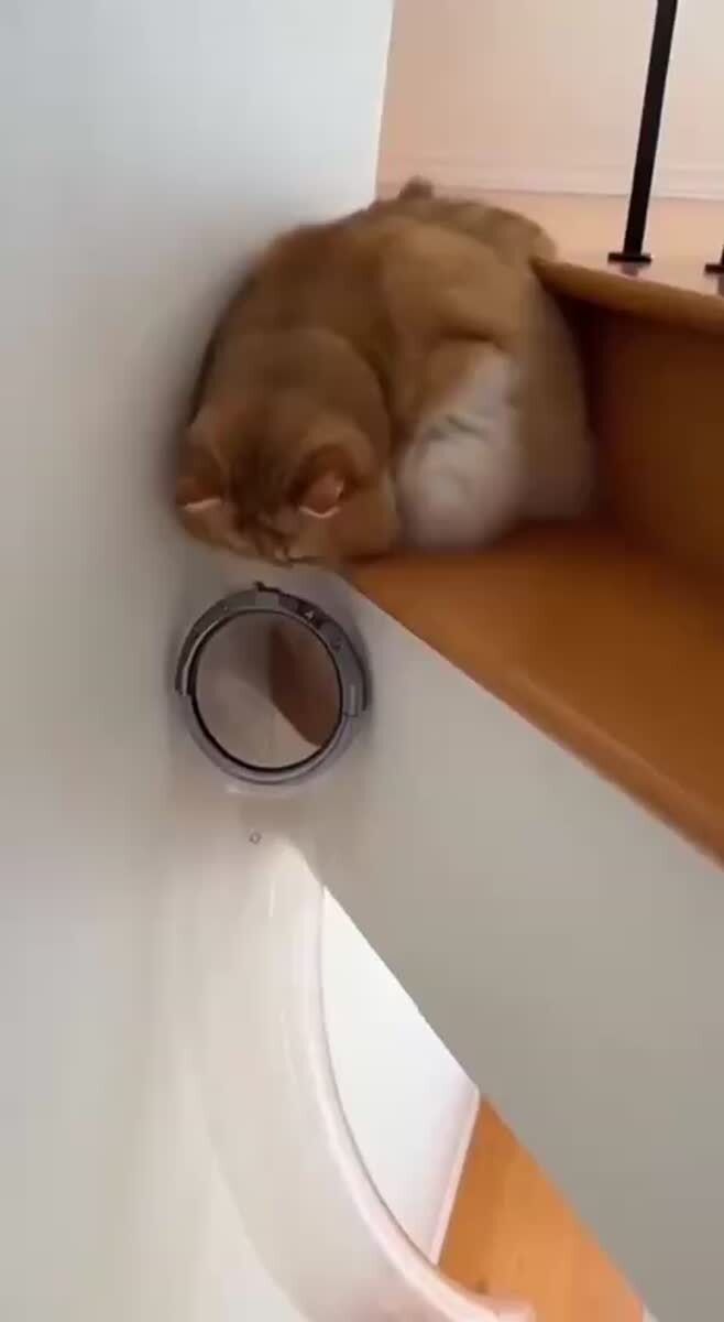 🤯