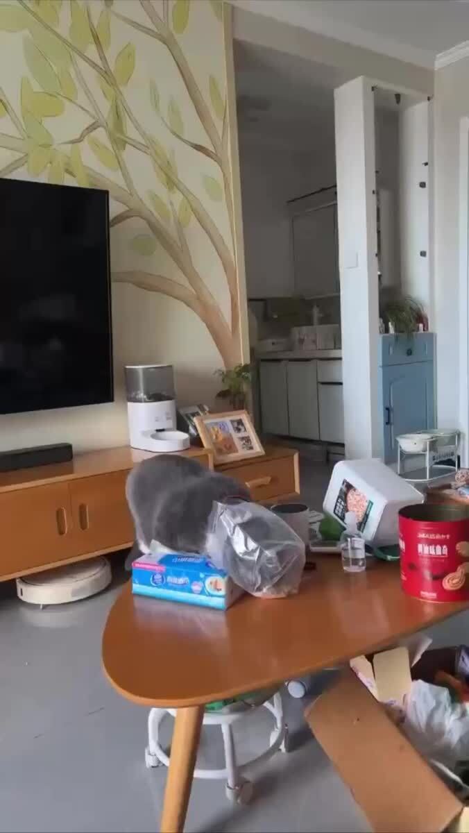 «Ты видел? Этот опять исполняет»😅♥️ шерстяные проказники
