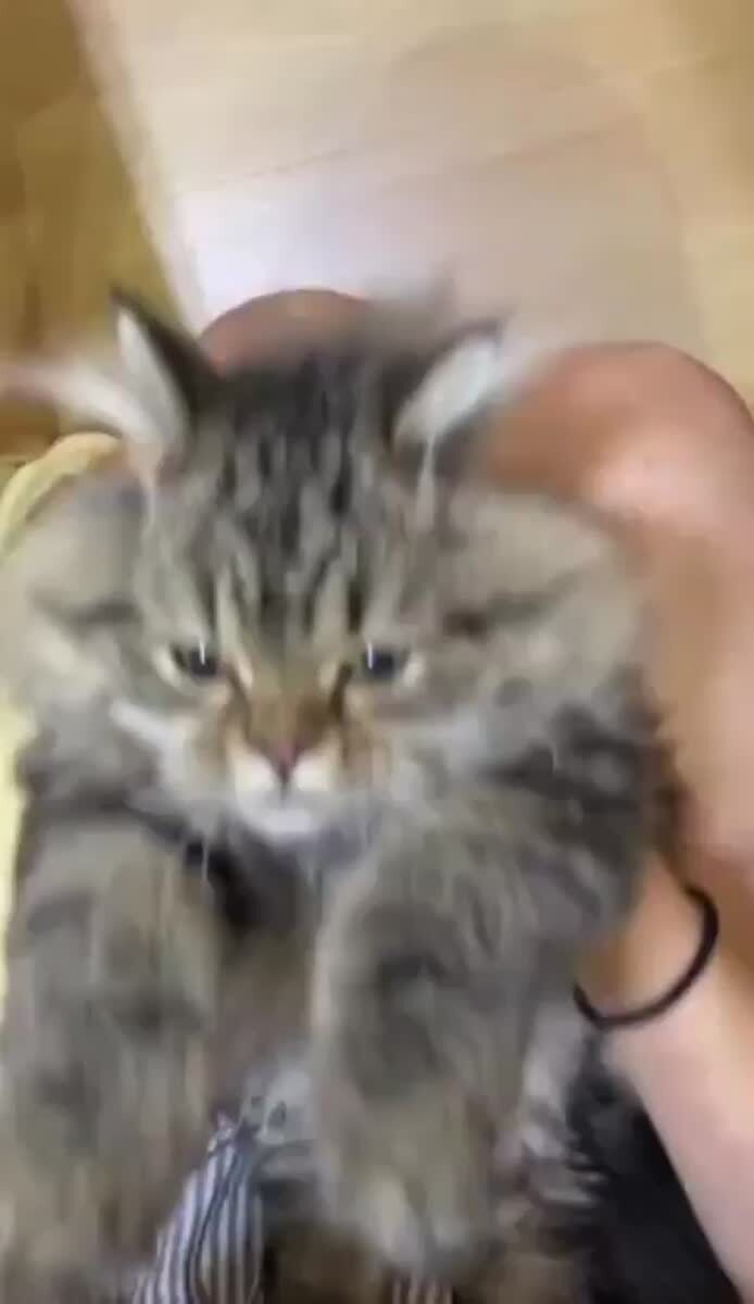 Внимание! Сейчас вы будете заколдованы🪄♥️ шерстяные проказники