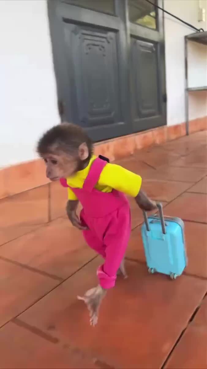 Едем в отпуск