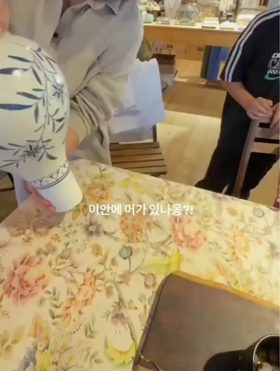 Коты могут поджидать вас где угодно... Вообще где угодно😈♥️ шерстяные проказники