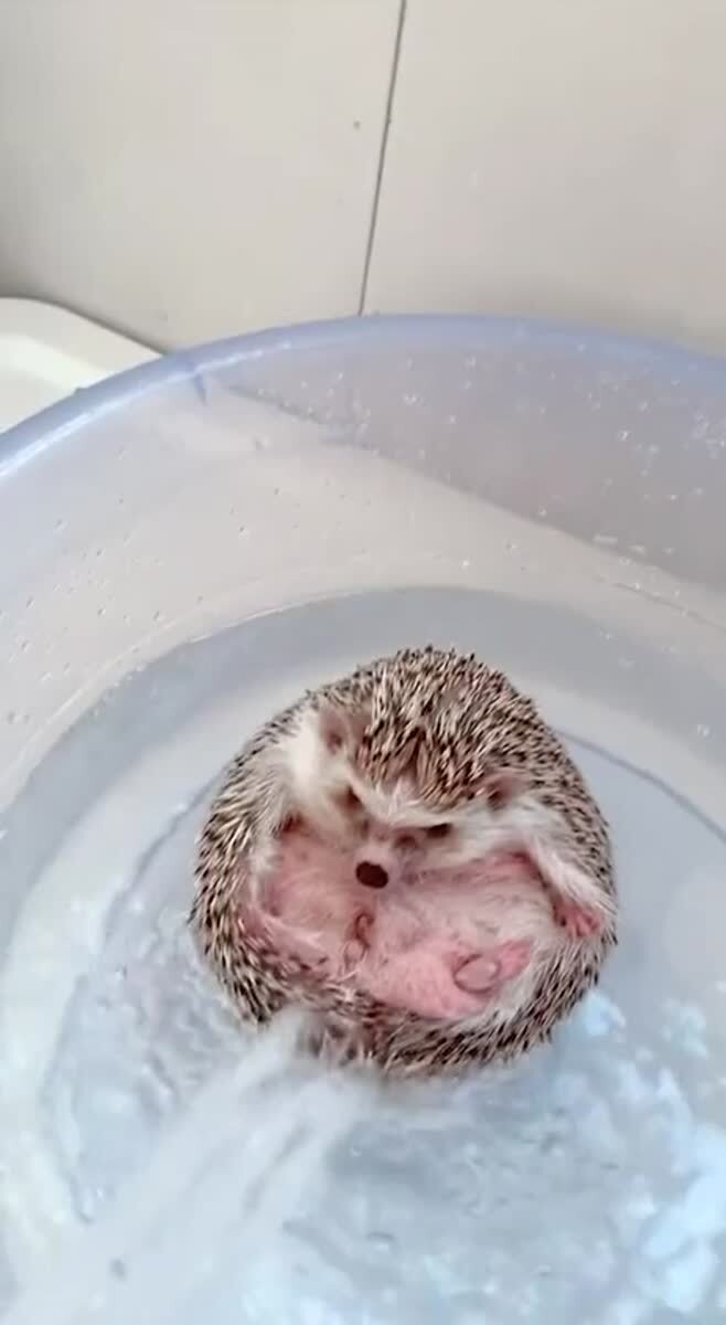 Водные процедуры