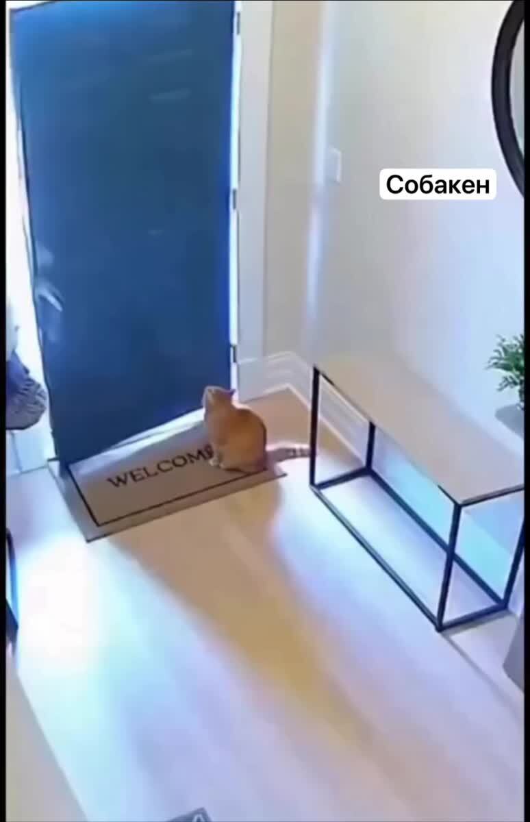 Грабитель века