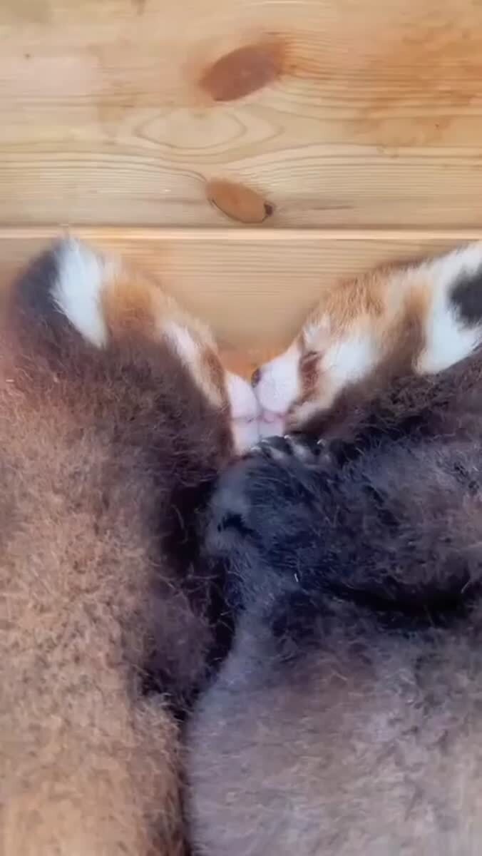 мы <3