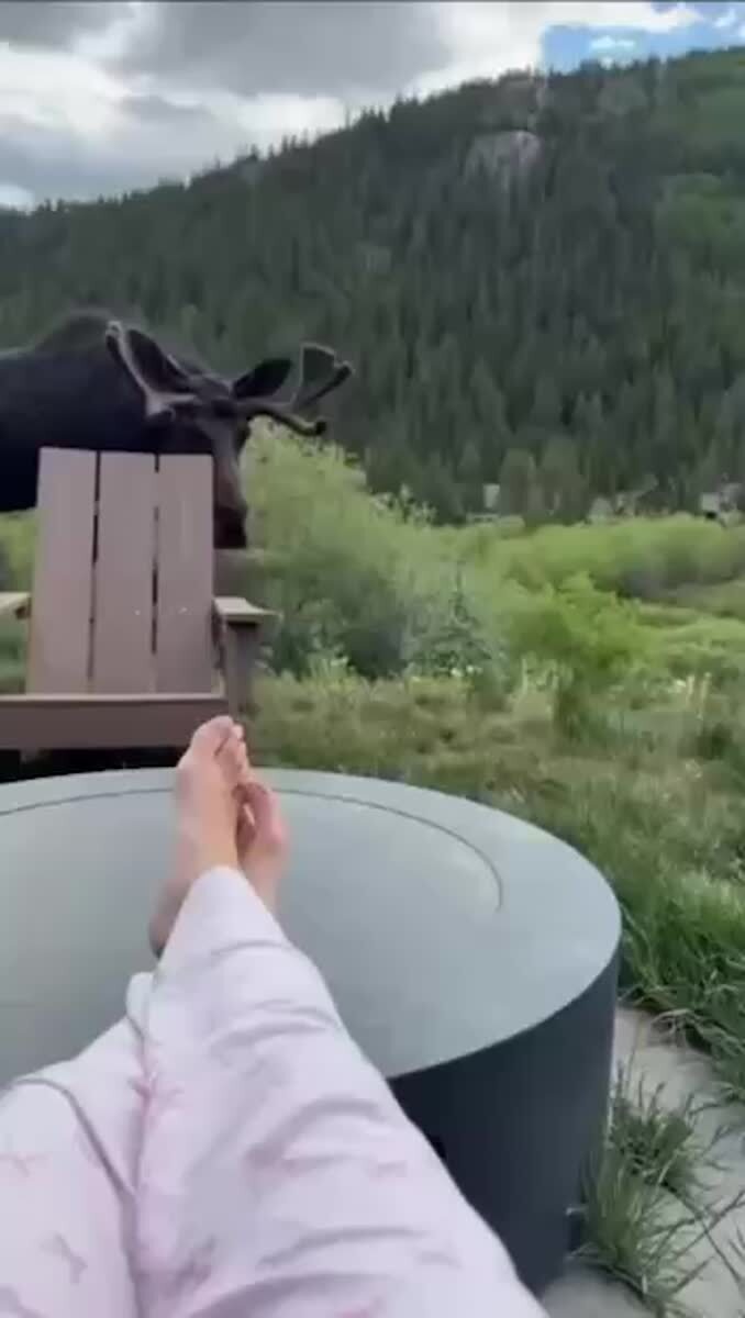Главное сохранять спокойствие