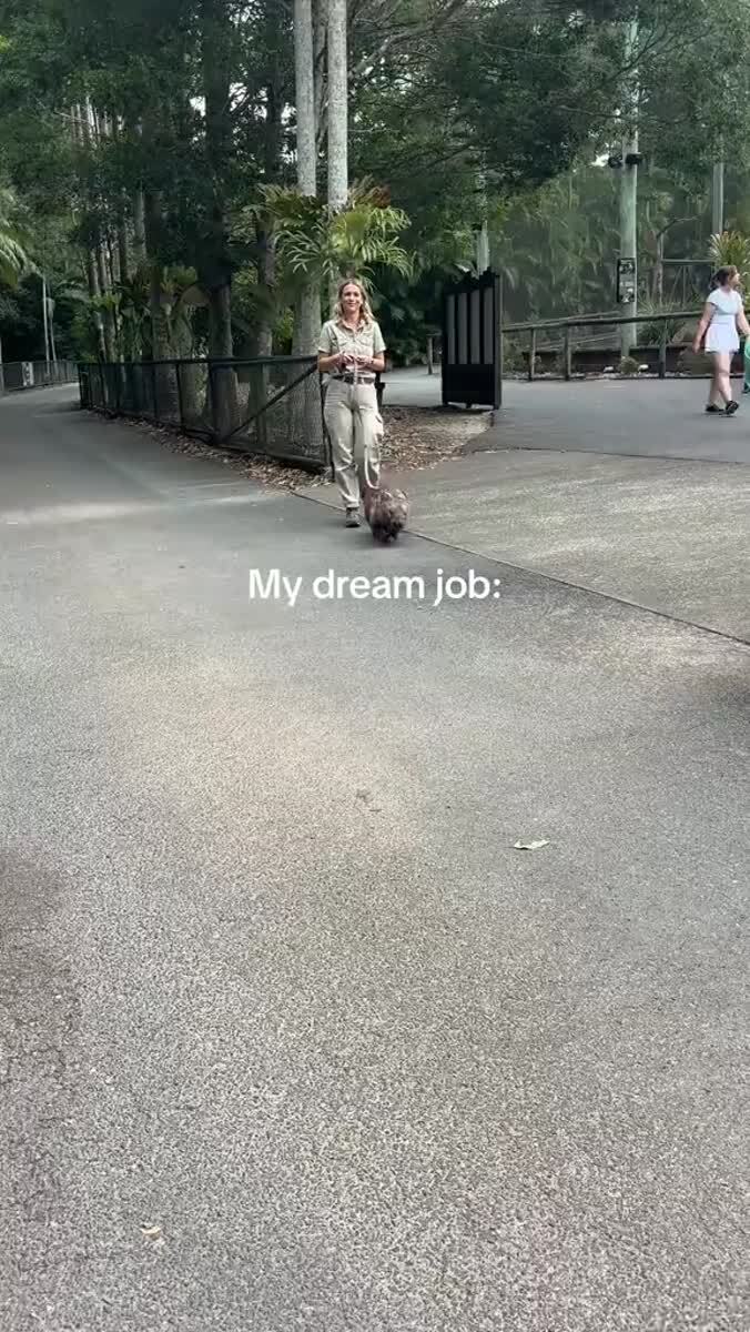 Работа мечты
