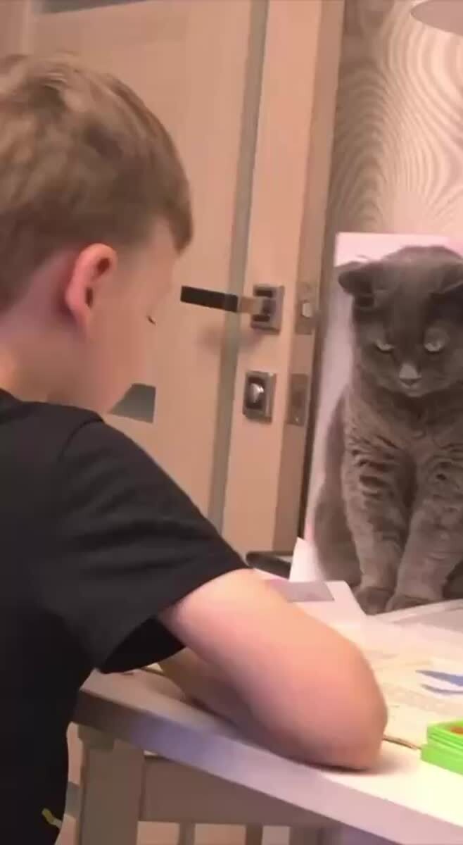 Репетитор жёсткий, но эффективный😺♥️ шерстяные проказники