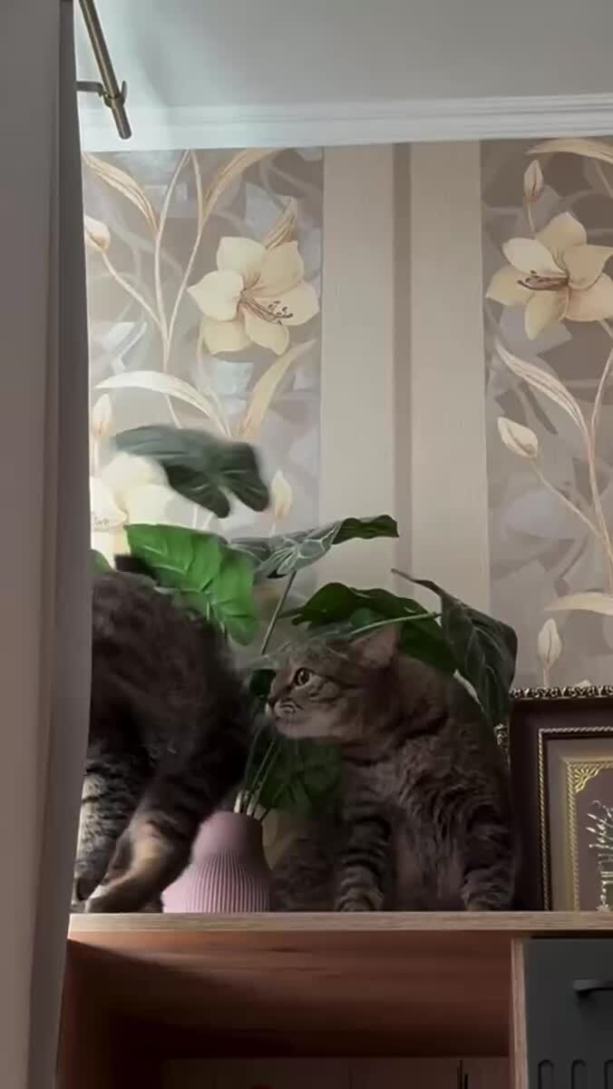 Кусь