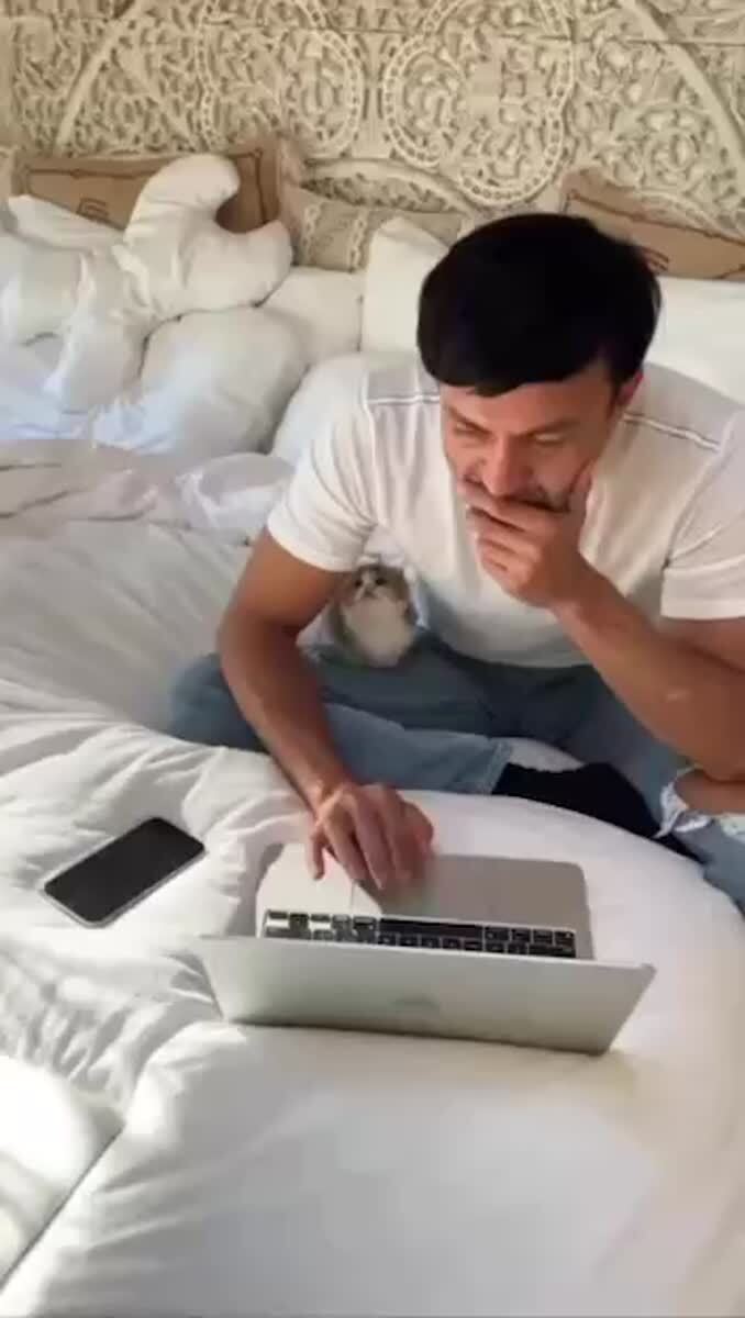 Простите, сэр, ответьте буквально на один вопрос. Почему вы такой милый?🥹♥️ шерстяные проказники