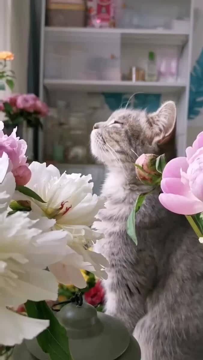 На солнышке