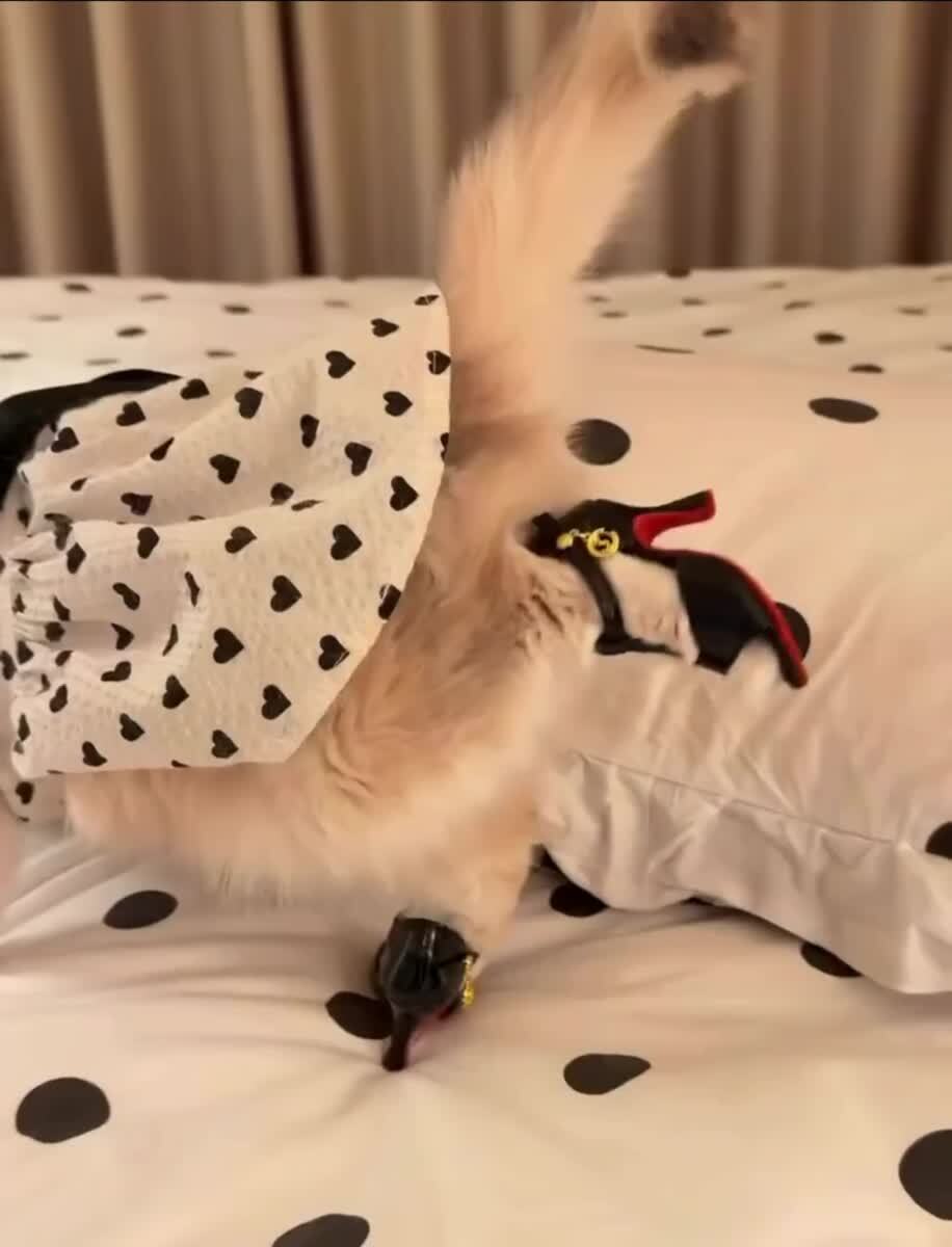 Гламур👠
