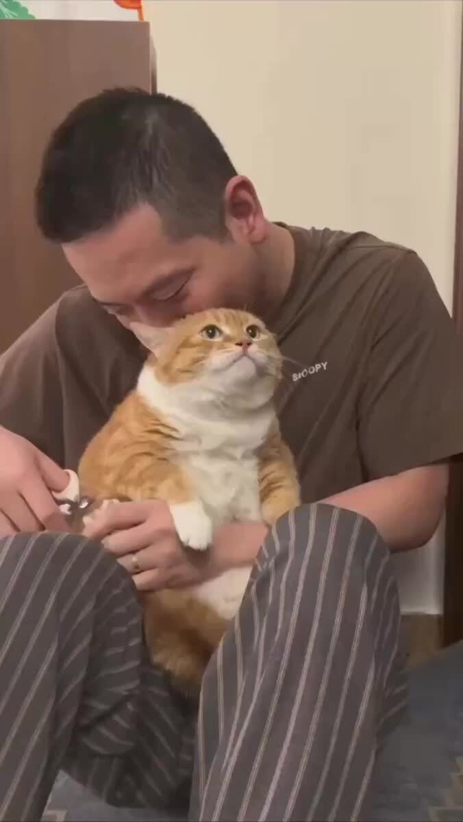 Актёр, который немножечко переигрывает🙀♥️ шерстяные проказники