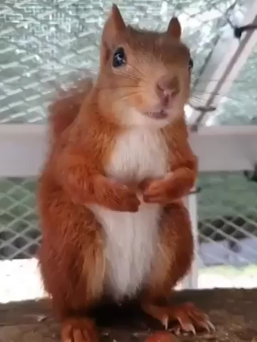 Ты когда злишься