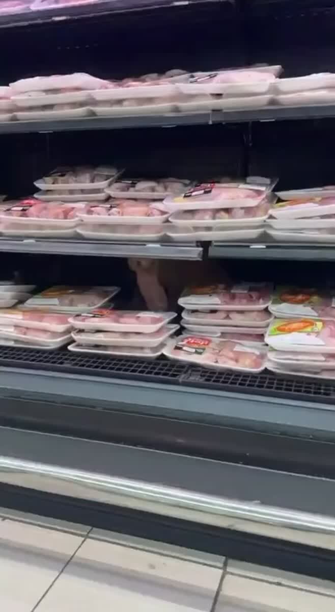 Проголадался