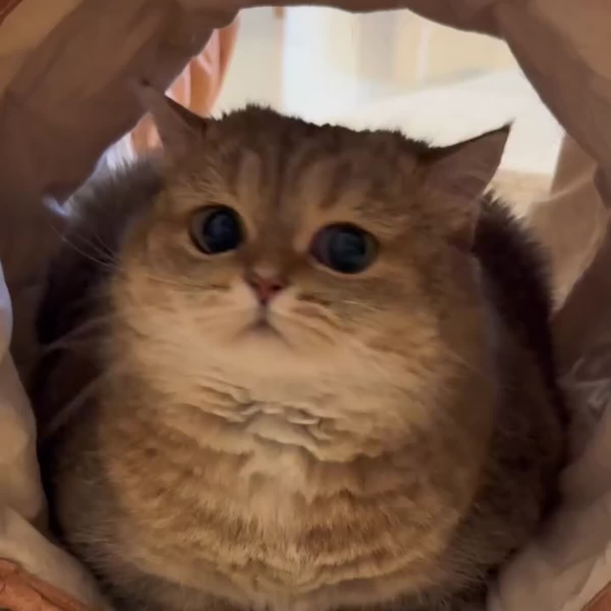 Не надо в него тыкать 😭