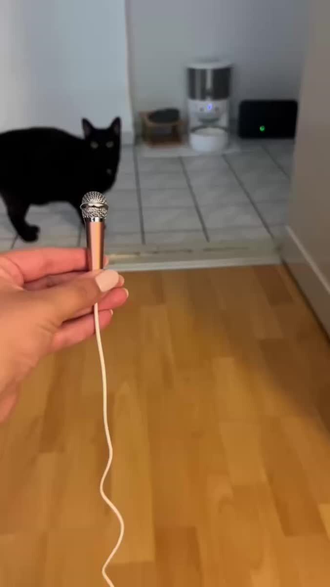 Мяу