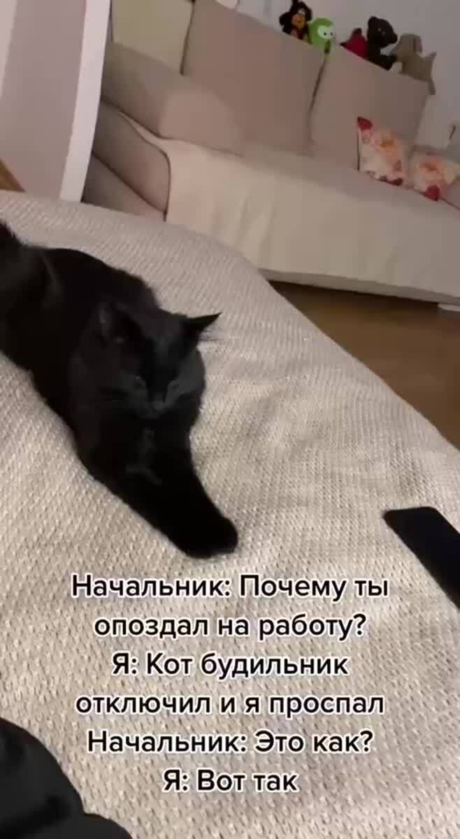 Мем #35979