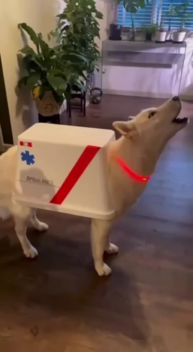 Фельдшер
