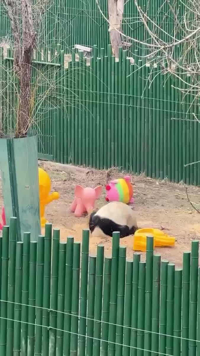 Малыш в песочнице