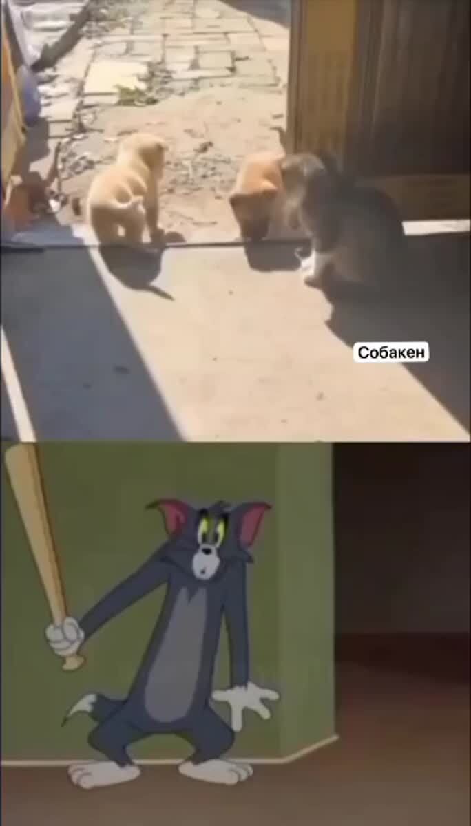 Невыдуманные истории