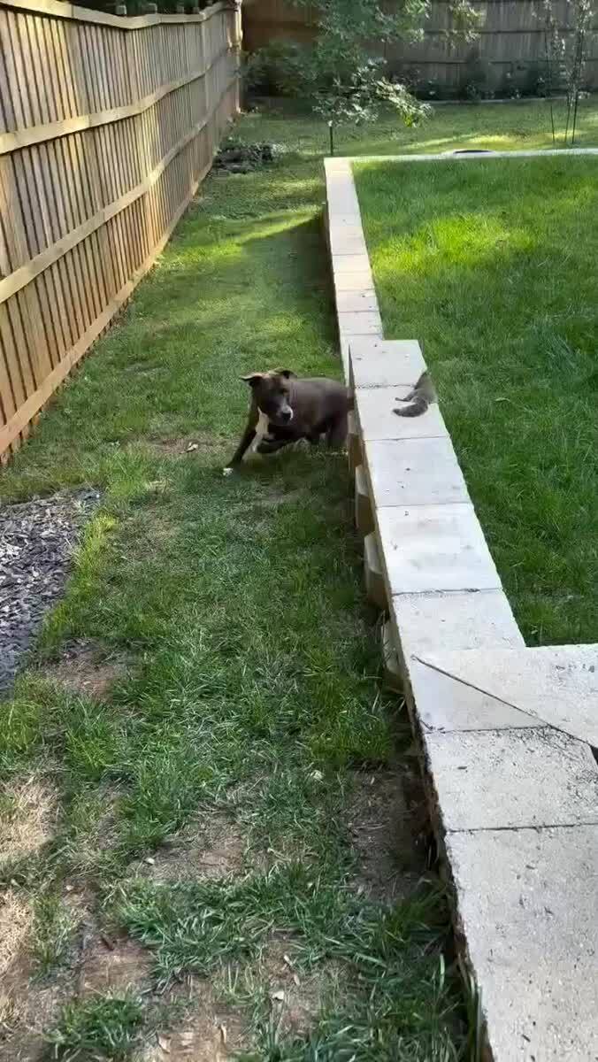 Попробуй поймай