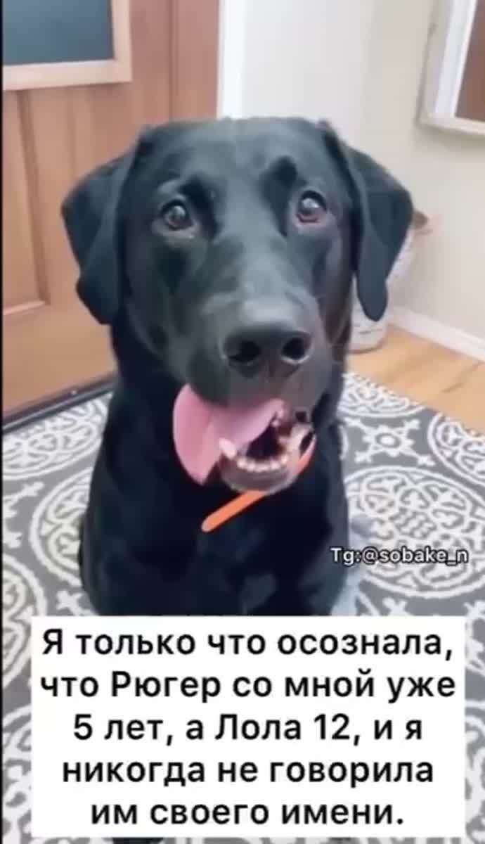 Вот это поворот