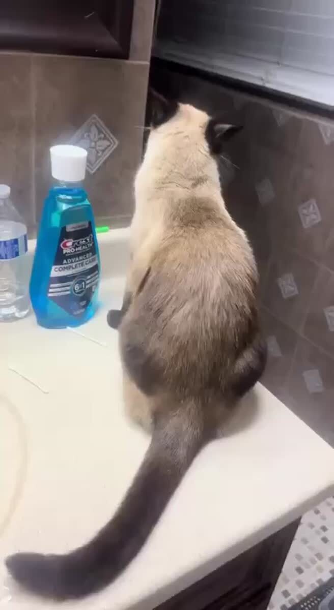 Мем #36044