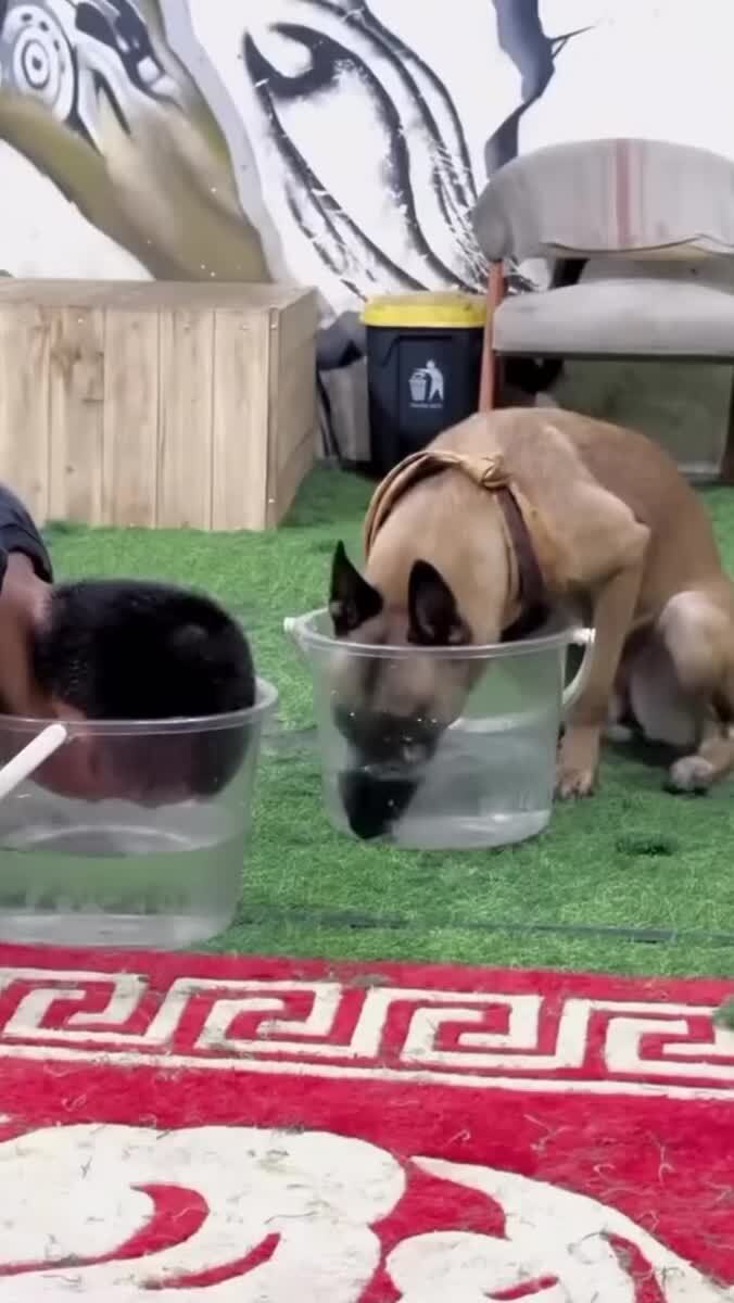 Его не проведёшь