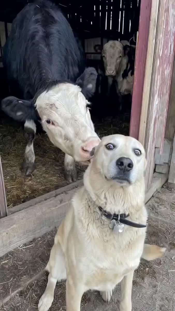 Страшно, очень страшно