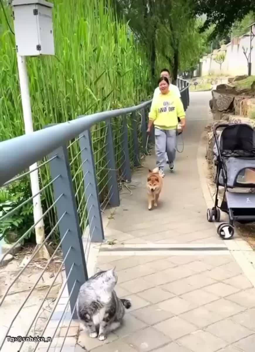Да ты не бойся, проходи 🤣🤷‍♂️