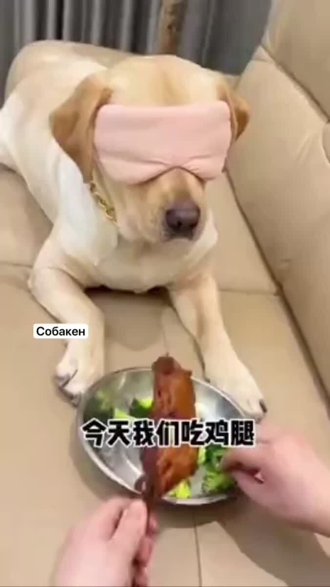 Эффективная диета 🥲С зарплатой так же)