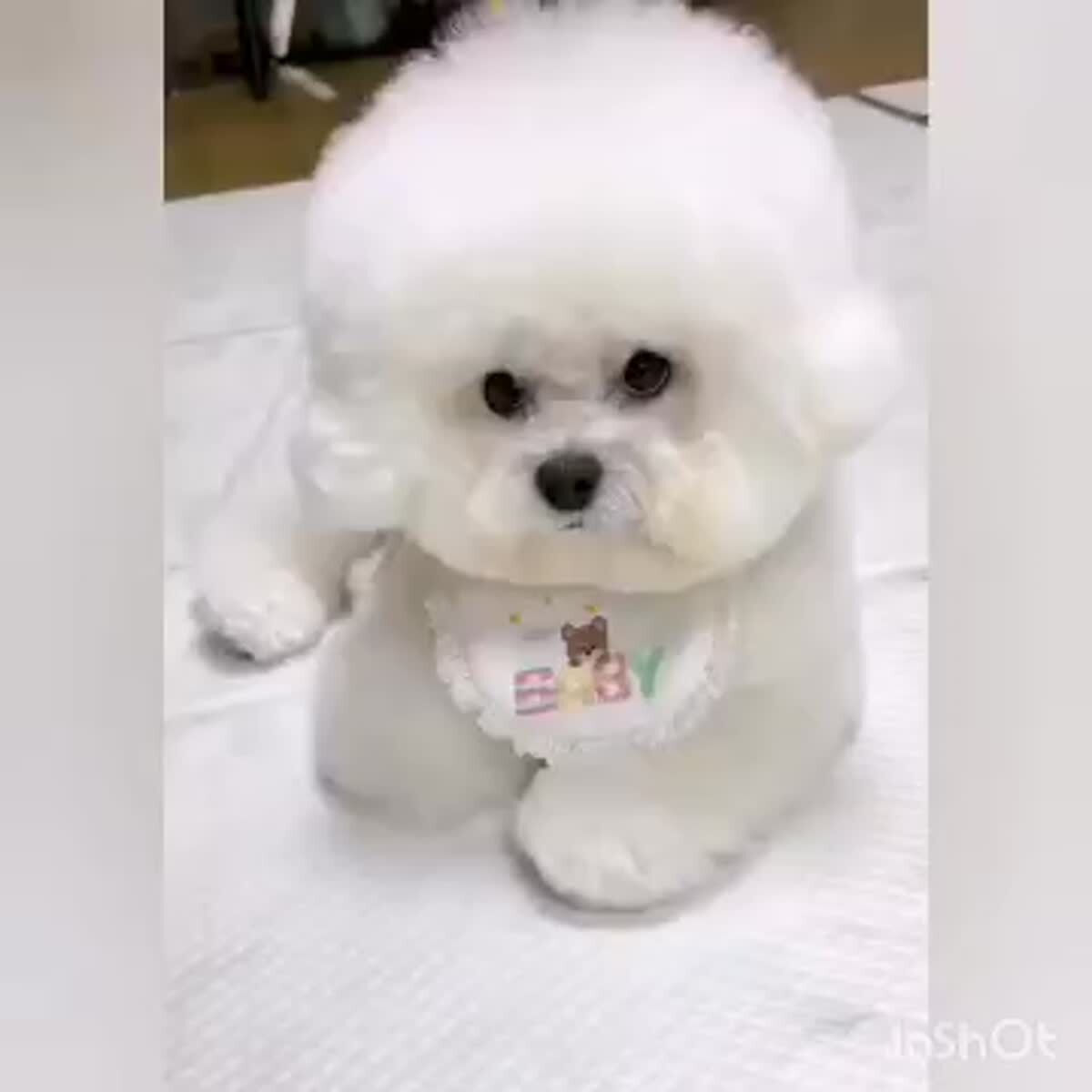 Моя мама всегда спрашивает меня, когда уже будут внуки!А я просто показываю ей это