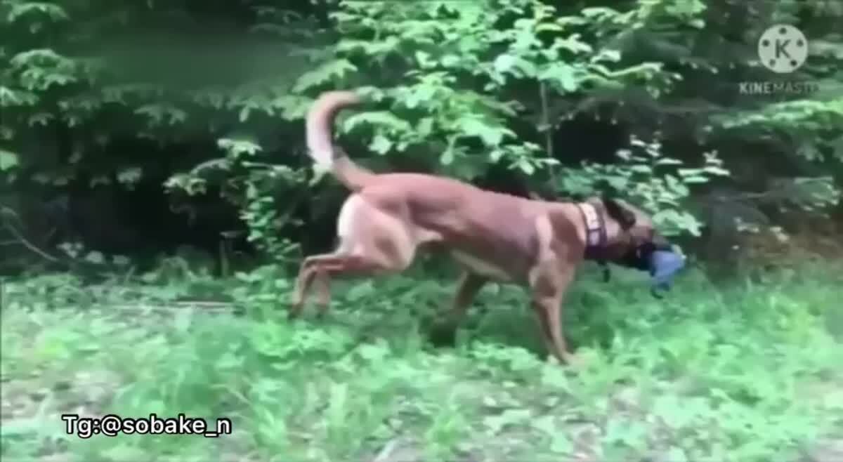 Тот самый друг который всегда портит кадр
