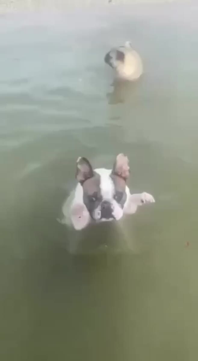 Когда водичка прохладная