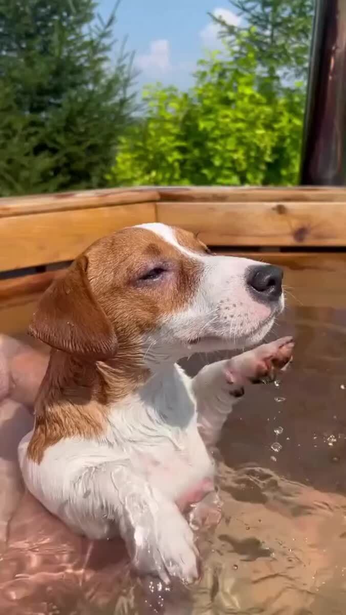 Наконец-то, лето!